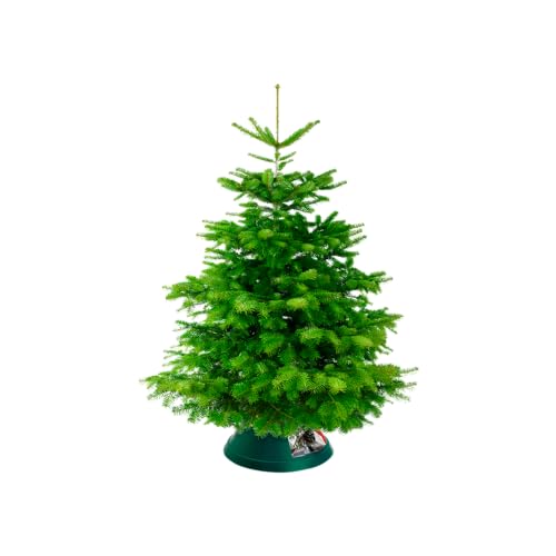 elho Oslo 38   Christbaumständer für Innen   Ø 37.8 x H 17.5 cm   Grün/Grün