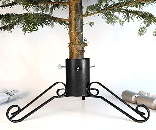 Bosmere G462 Traditionellen Weihnachtsbaumständer 5 Zoll, schwarz