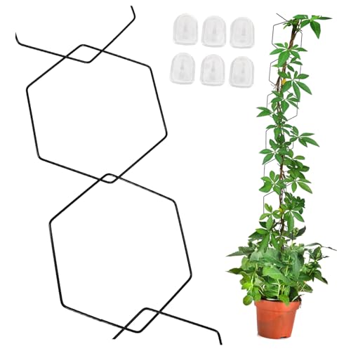 Cabilock Pflanzengitter Für Kletterpflanzen Metallgitter Mit Verstellbarer Kette Wandspalier Für Indoor Oder Outdoor Pflanzenstützstruktur Mit Robusten Wandhaken Gartenspalier Aus Metall