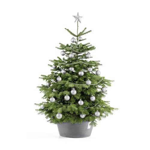 Ecopots Christbaumständer mit Wasserspeicher für Bäume bis 3,00 m Baumhöhe umkippsicher - Tannenbaumständer Grau aus Recycling Kunststoff Ø 50 cm rund groß - Weihnachtsbaumständer Weihnachtsbaum