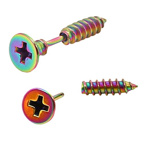 Tumundo® 2 Stück Fake Plugs Schraube Edelstahl Kreuzschlitz Ohrstecker Schwarz Weiß Silbern Herren Punk, Variante:rainbow